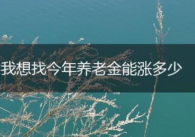 我想找今年养老金能涨多少