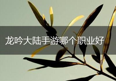 龙吟大陆手游哪个职业好
