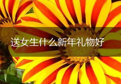 送女生什么新年礼物好