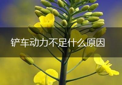 铲车动力不足什么原因