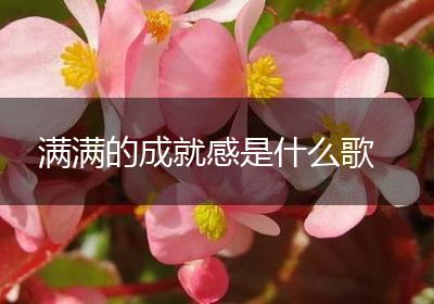 满满的成就感是什么歌