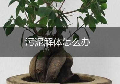 污泥解体怎么办