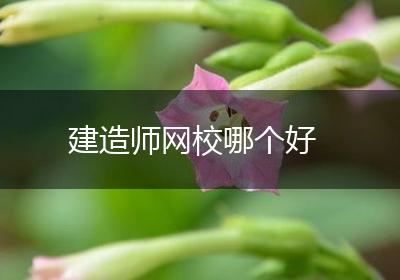 建造师网校哪个好
