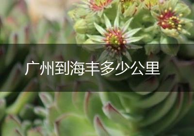 广州到海丰多少公里