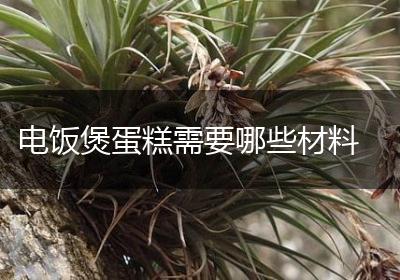 电饭煲蛋糕需要哪些材料