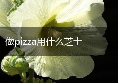 做pizza用什么芝士