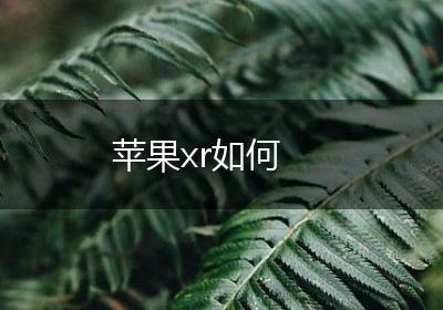 苹果xr如何