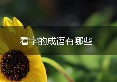 看字的成语有哪些