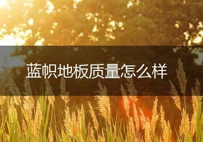 蓝帜地板质量怎么样