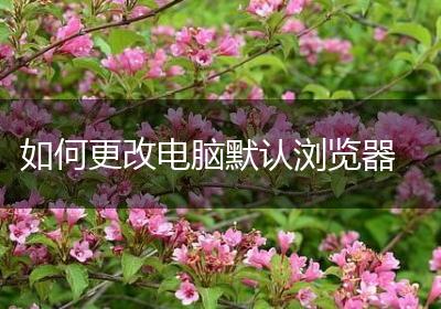如何更改电脑默认浏览器