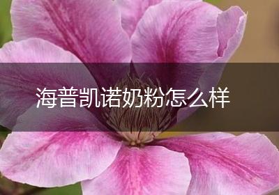 海普凯诺奶粉怎么样