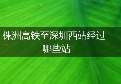 株洲高铁至深圳西站经过哪些站