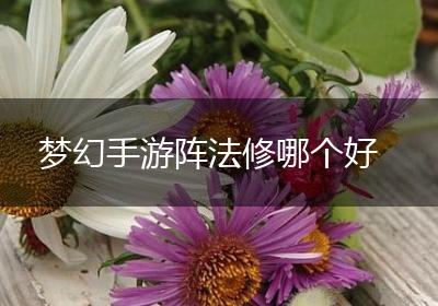 梦幻手游阵法修哪个好