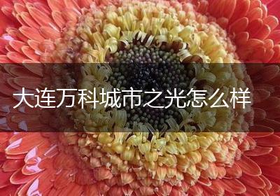 大连万科城市之光怎么样