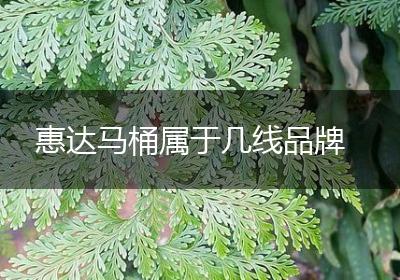 惠达马桶属于几线品牌