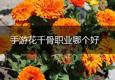 手游花千骨职业哪个好