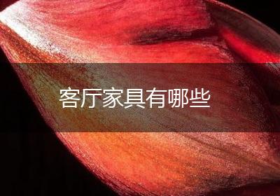 客厅家具有哪些