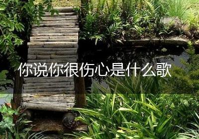 你说你很伤心是什么歌