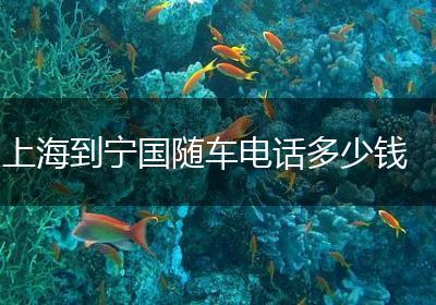 上海到宁国随车电话多少钱