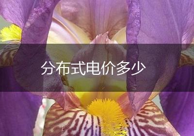 分布式电价多少