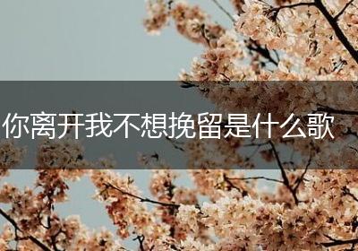 你离开我不想挽留是什么歌