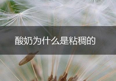 酸奶为什么是粘稠的