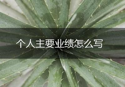 个人主要业绩怎么写