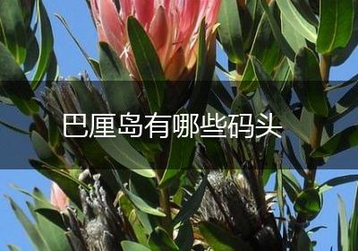 巴厘岛有哪些码头