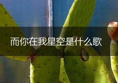 而你在我星空是什么歌