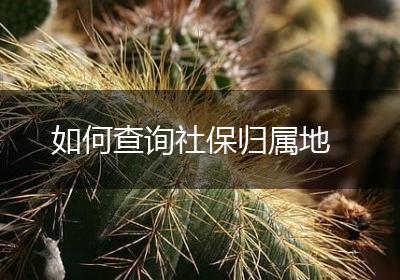 如何查询社保归属地