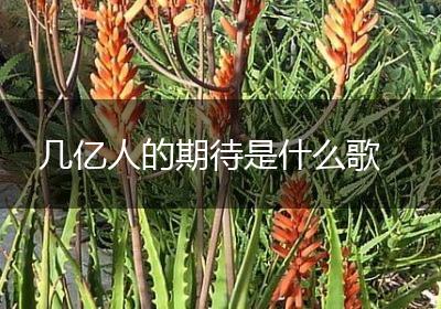 几亿人的期待是什么歌