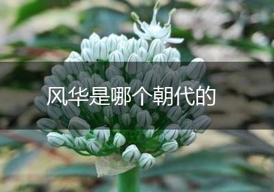 风华是哪个朝代的