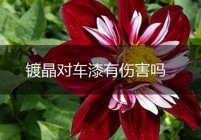 镀晶对车漆有伤害吗