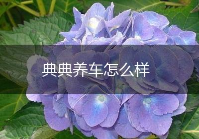 典典养车怎么样