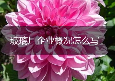玻璃厂企业概况怎么写