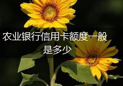 农业银行信用卡额度一般是多少