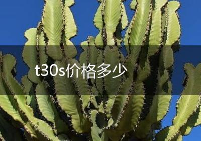 t30s价格多少