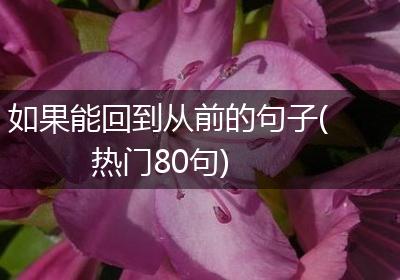 如果能回到从前的句子(热门80句)