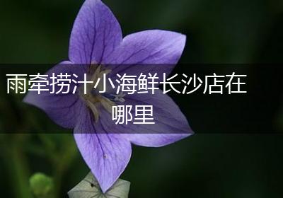 雨牵捞汁小海鲜长沙店在哪里