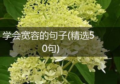 学会宽容的句子(精选50句)