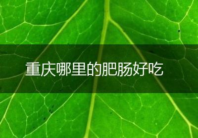 重庆哪里的肥肠好吃