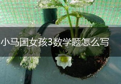 小马国女孩3数学题怎么写