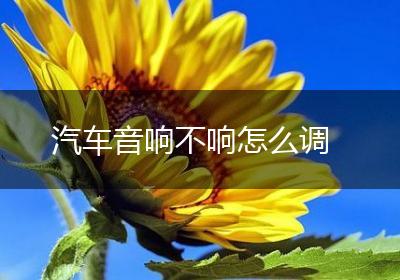 汽车音响不响怎么调