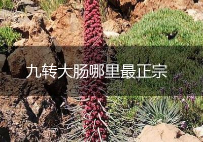 九转大肠哪里最正宗