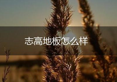 志高地板怎么样