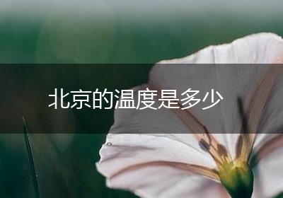 北京的温度是多少