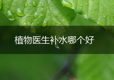 植物医生补水哪个好