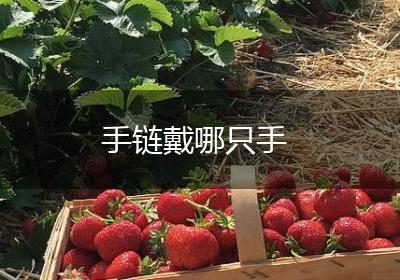 手链戴哪只手