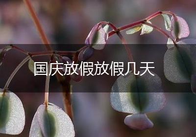 国庆放假放假几天