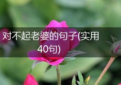 对不起老婆的句子(实用40句)